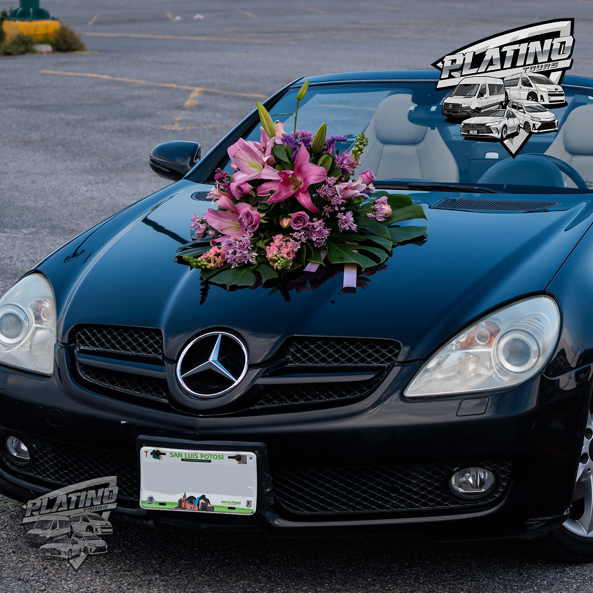 Mercedes para eventos